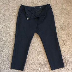Loft business pants